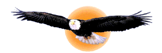 animate eagle